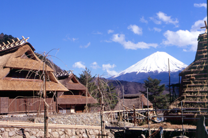 西湖いやしの里根場