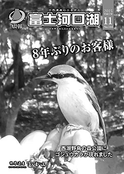 広報平成２７年１１月号表紙