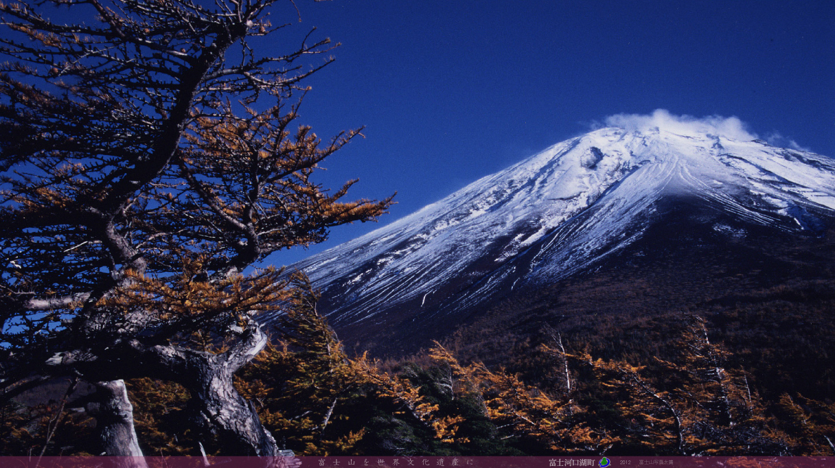 富士山写真大賞 | 富士河口湖町公式ホームページ